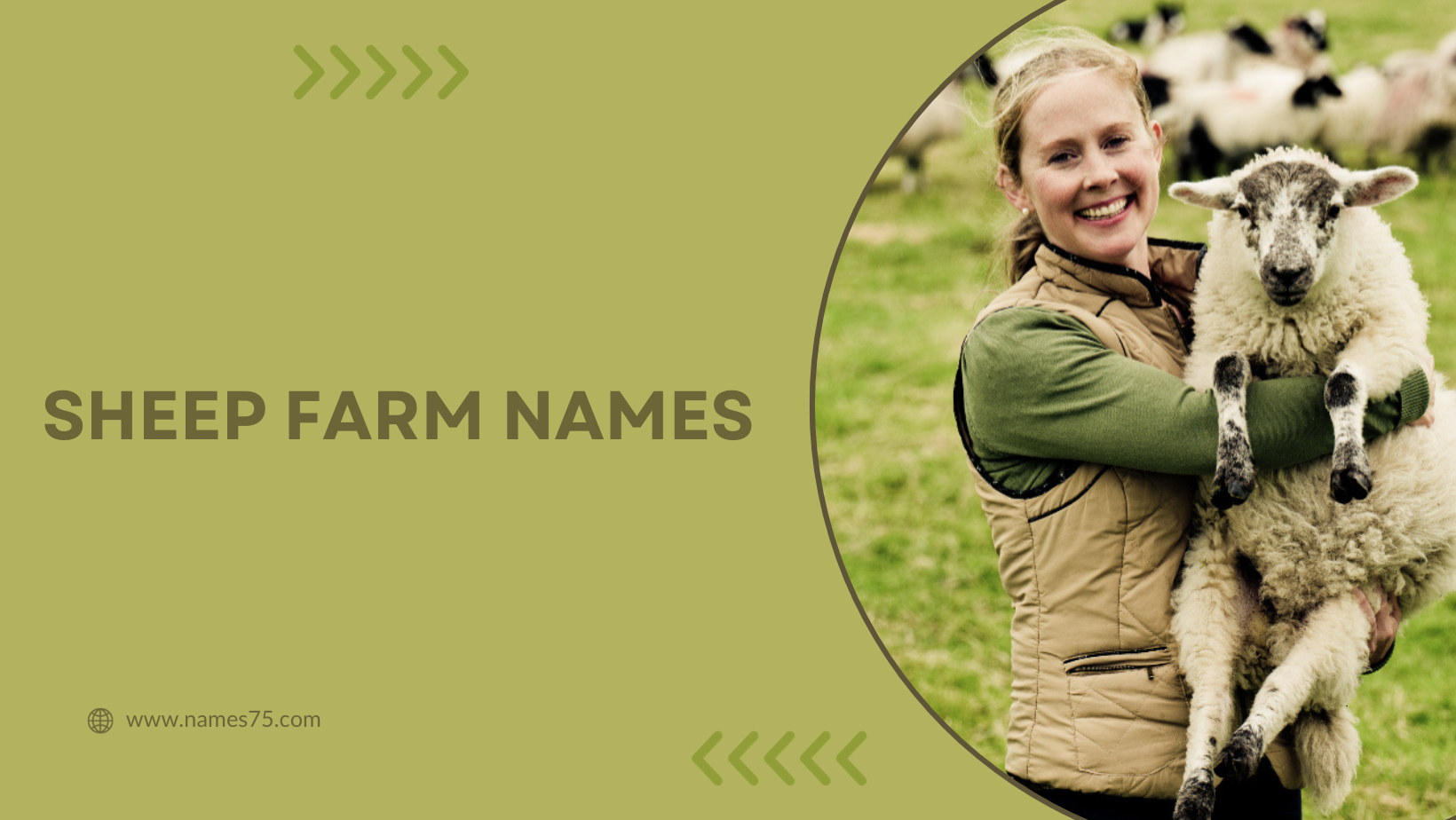 sheep farm names